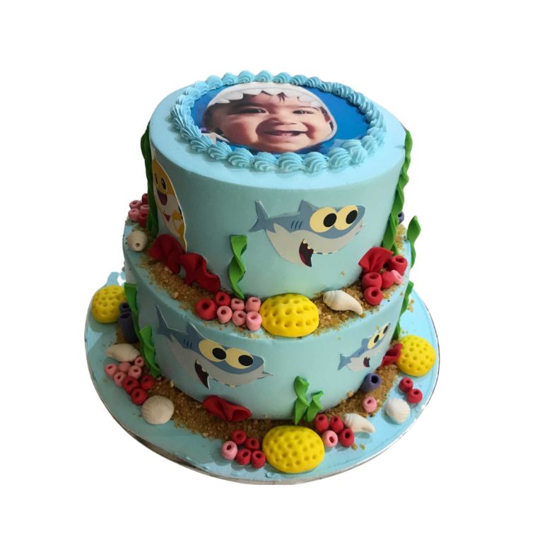 (8) Aqua Cake